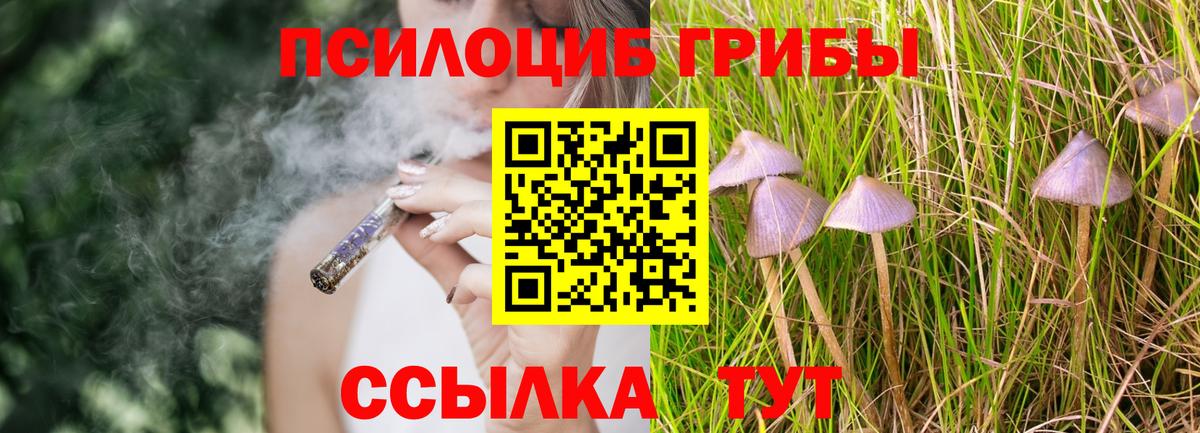 Пыть-Ях  Псилоцибиновые грибы ЛСД  Вход с VPN 